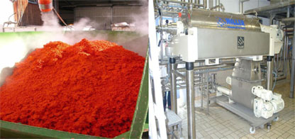 Carrot juice production (baby food)