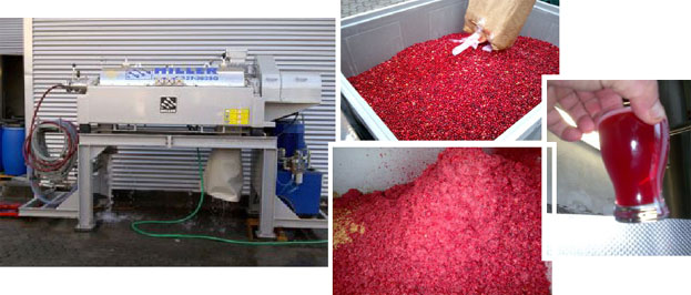 Cranberry Juice production